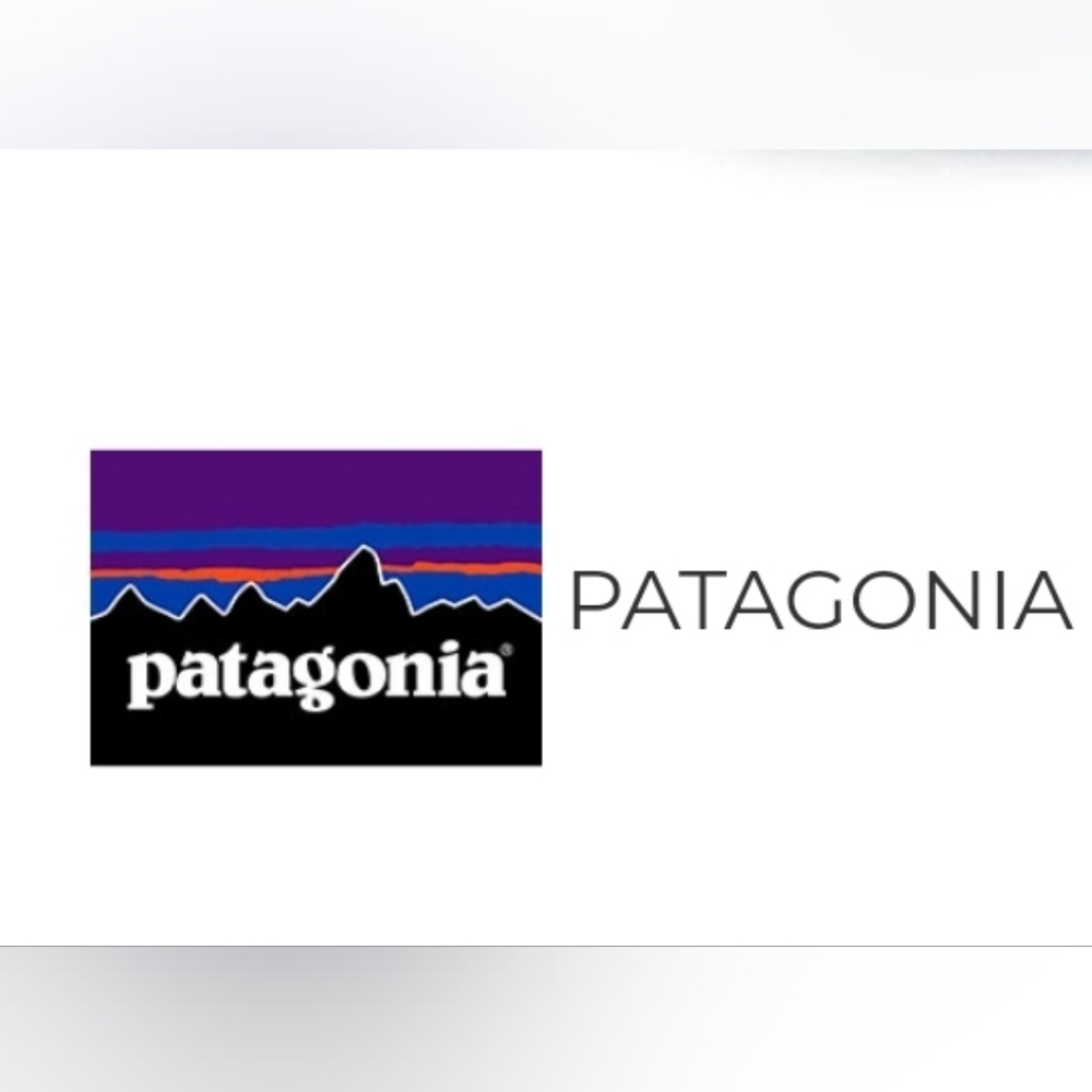 👽 PATAGONIA Atom Sling 8L Bag ✅️Rare Colorway‼️ - Picture 2 of 2